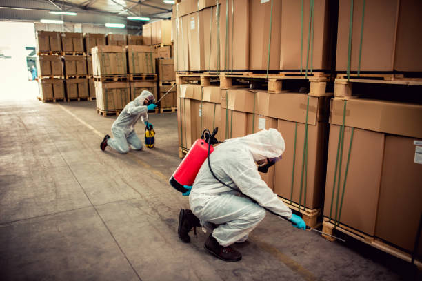 Best Pest Control Treatment  in Trafford, PA