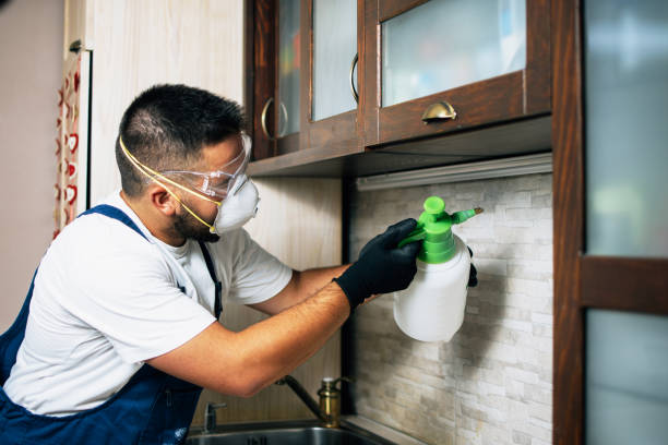 Pest Control Cost in Trafford, PA