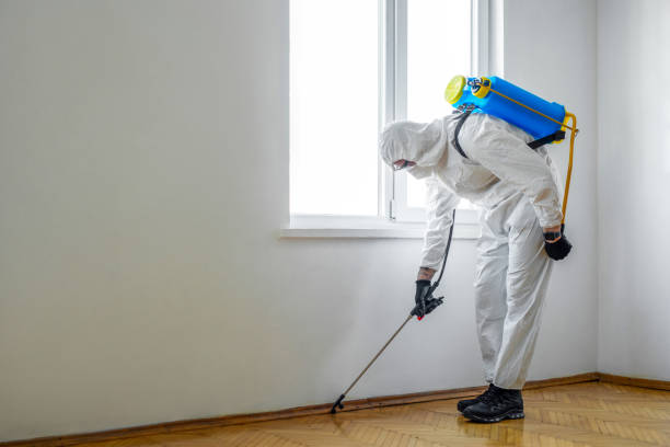 Best Pest Control Near Me in Trafford, PA