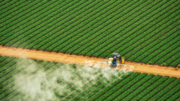 Best Mosquito Control Services  in Trafford, PA