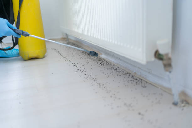 Best Pest Prevention Services  in Trafford, PA