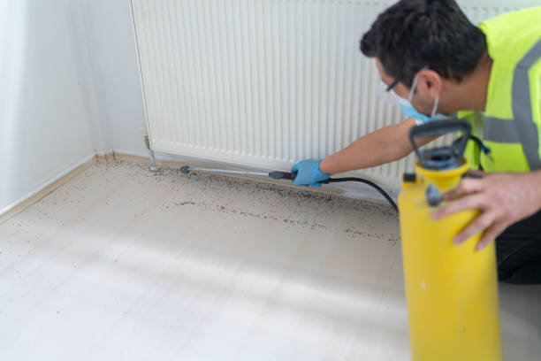 Best Commercial Pest Control Services  in Trafford, PA