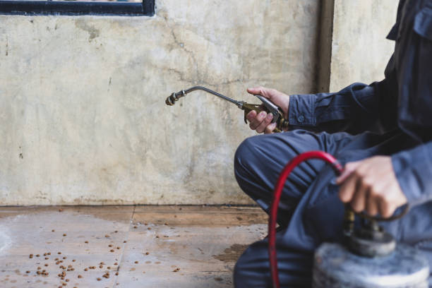 Best Emergency Pest Control  in Trafford, PA