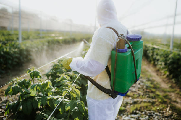 Best Residential Pest Control  in Trafford, PA